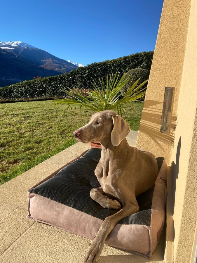 Design & Mountain View Bedroom Aosta Eksteriør bilde